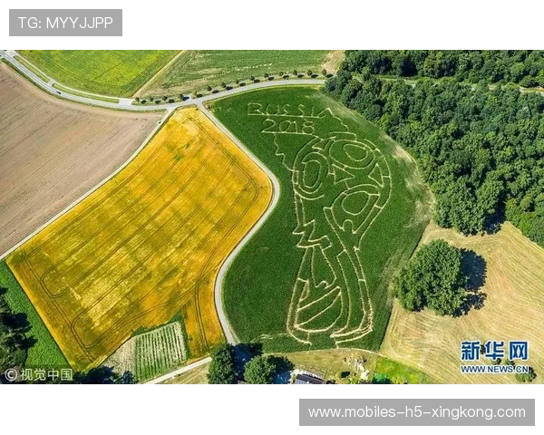 这组的复杂度，让世界杯宛如迷宫游戏